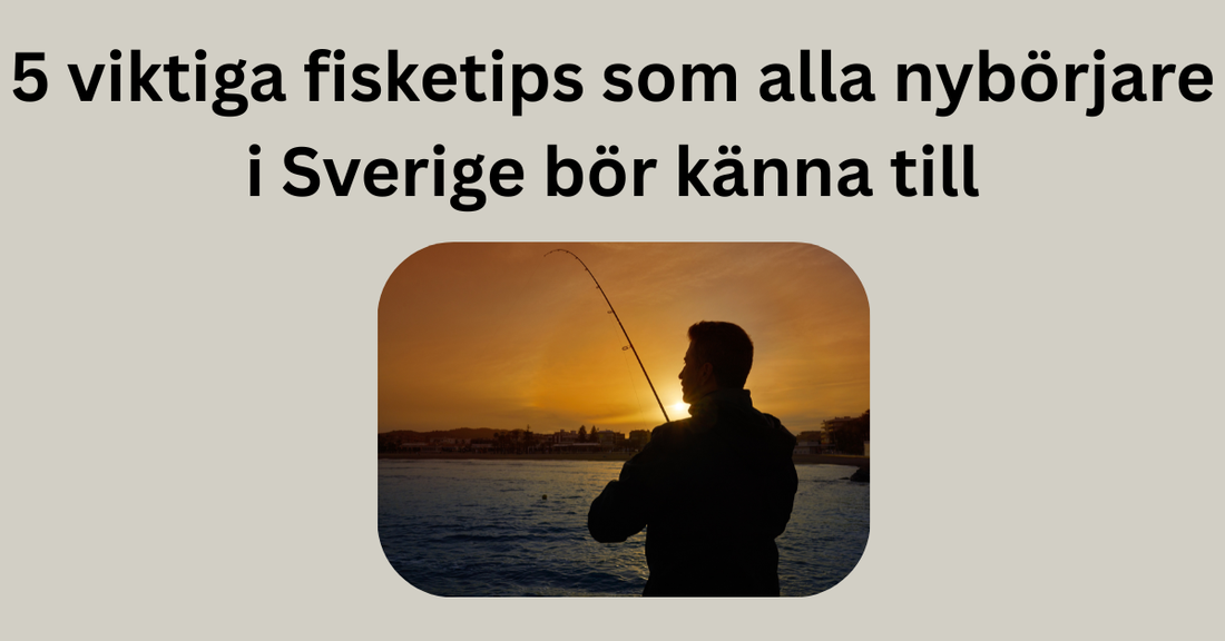 5 viktiga fisketips som alla nybörjare i Sverige bör känna till