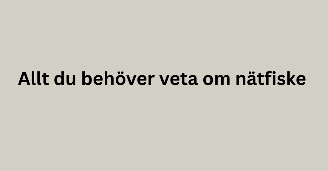 Allt du behöver veta om nätfiske
