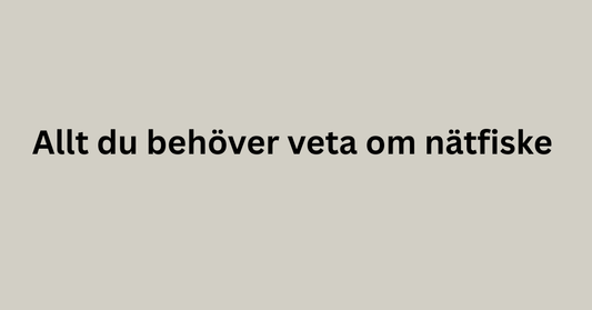 Allt du behöver veta om nätfiske