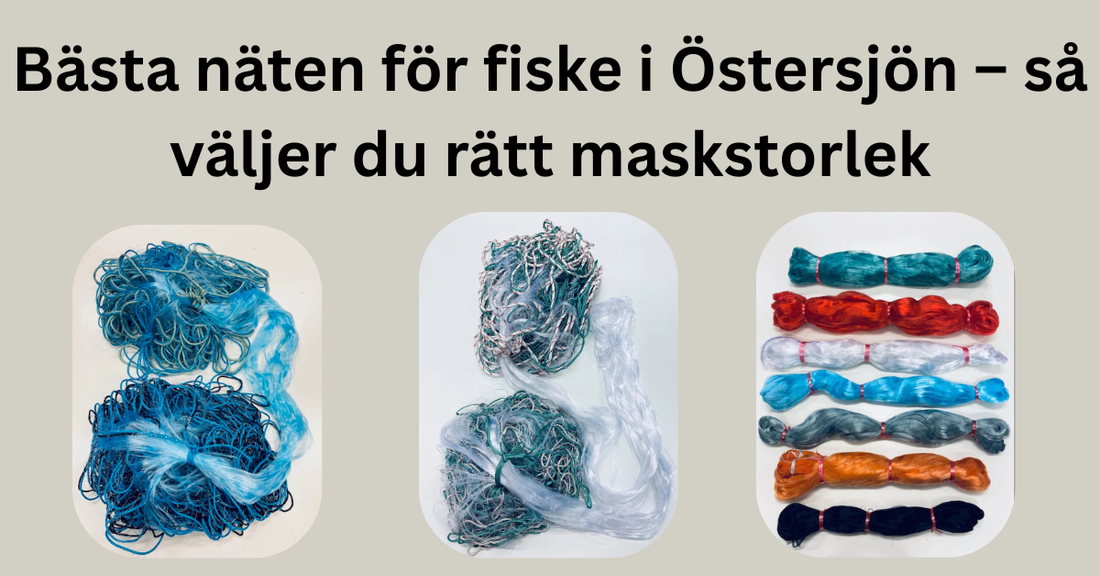 Bästa näten för fiske i Östersjön – så väljer du rätt maskstorlek
