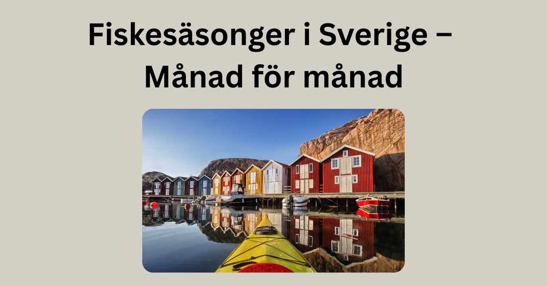 Fiskesäsonger i Sverige – Månad för månad