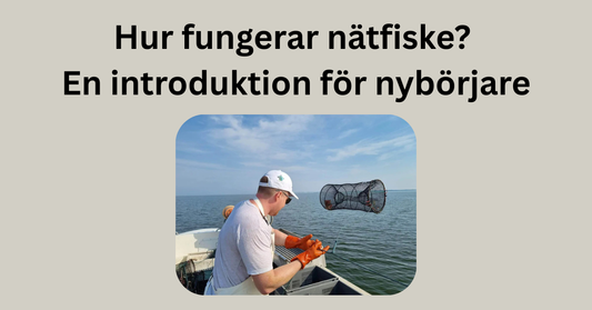 Hur fungerar nätfiske? En introduktion för nybörjare