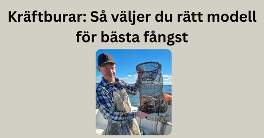 Kräftburar: Så väljer du rätt modell för bästa fångst