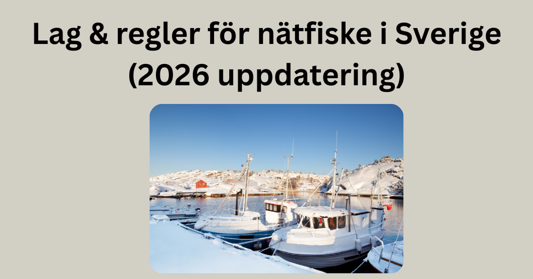 Lag & regler för nätfiske i Sverige (2026 uppdatering)