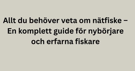 Allt du behöver veta om nätfiske – En komplett guide för nybörjare och erfarna fiskare
