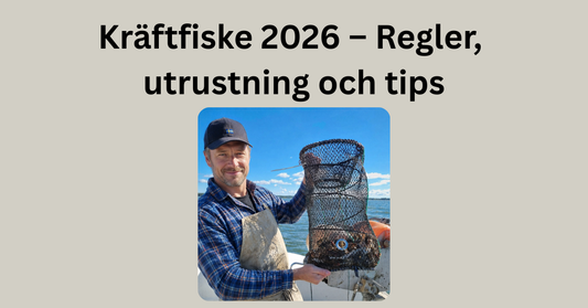 Kräftfiske 2026 – Regler, utrustning och tips