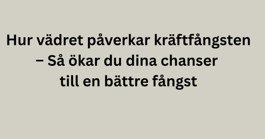 Hur vädret påverkar kräftfångsten – Så ökar du dina chanser till en bättre fångst