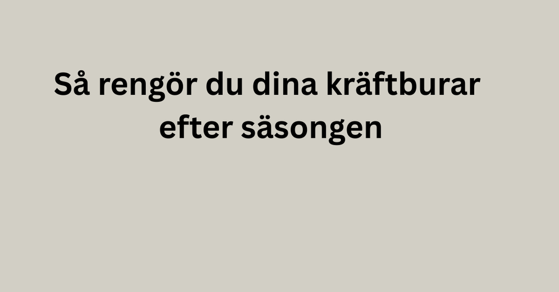 Så rengör du dina kräftburar efter säsongen