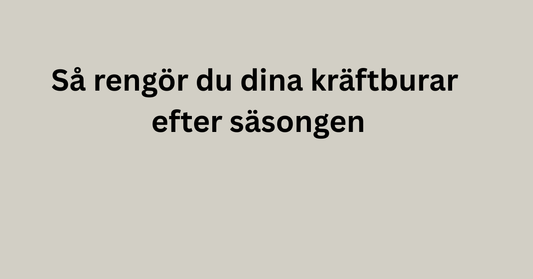 Så rengör du dina kräftburar efter säsongen