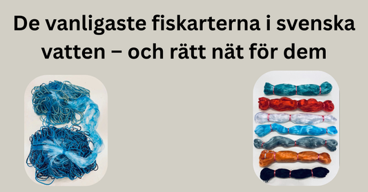 De vanligaste fiskarterna i svenska vatten – och rätt nät för dem
